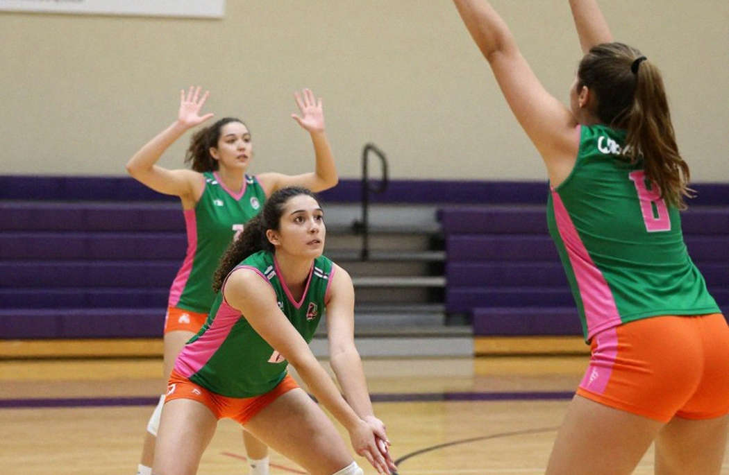 Nine Sections of Form, Not One Fact: The Hollow Volleyball Report