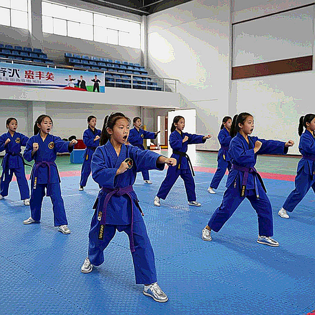 Nhãn sai và hồ sơ trống: bài học từ một tệp dữ liệu võ thuật không thể phân tích