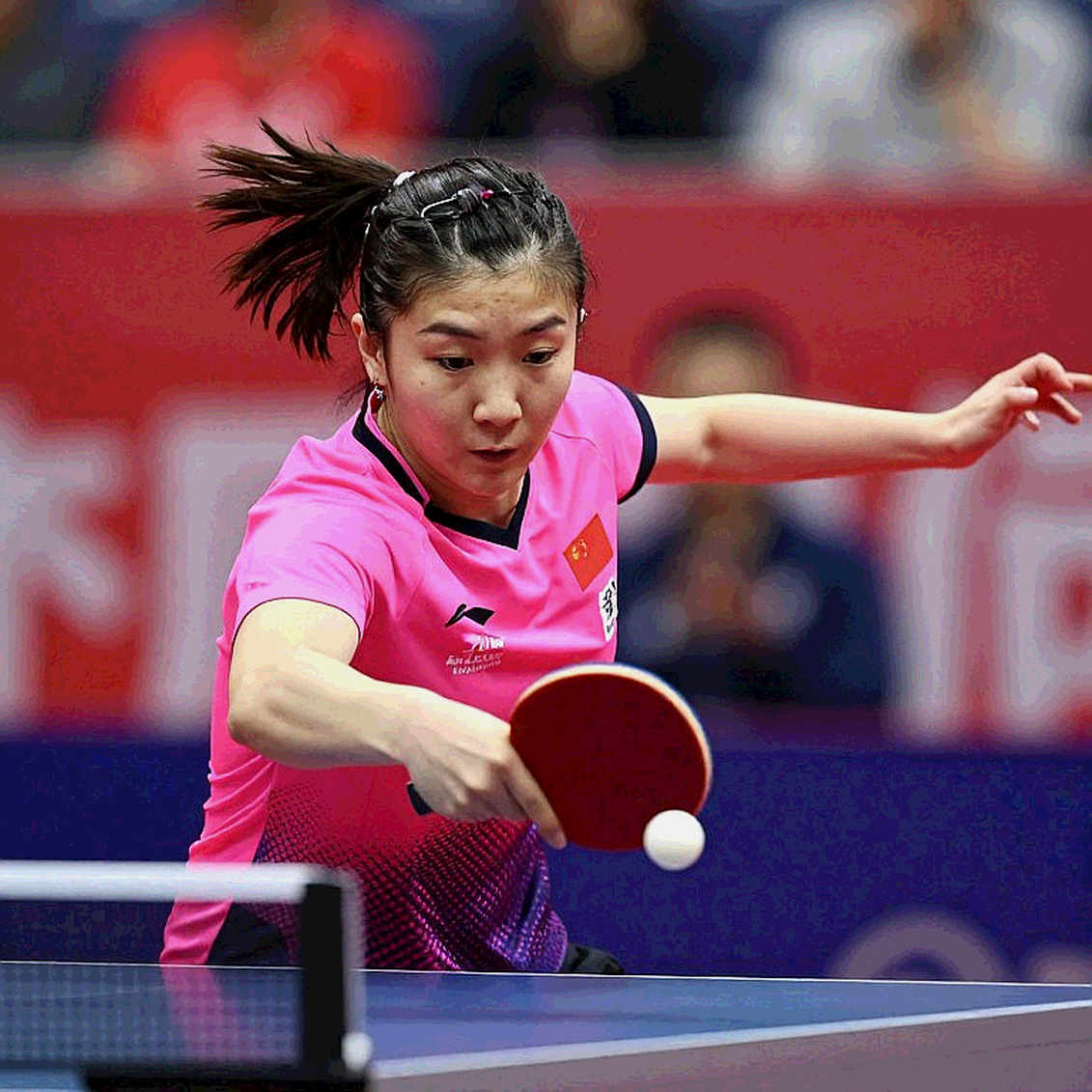 Lớp trầm tích Draycott: Hai nhà vô địch U11 nước Anh và bài học cho bóng bàn trẻ Việt Lớp trầm tích Draycott: Hai nhà vô địch U11 nước Anh và bài học cho bóng bàn trẻ Việt